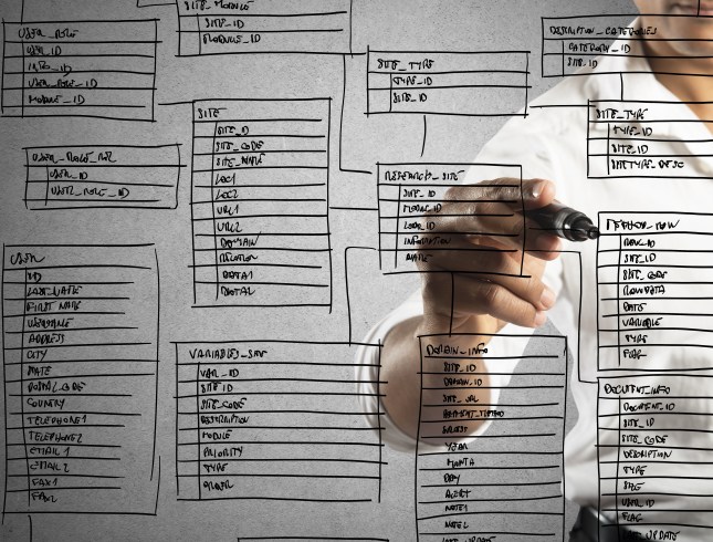 programmer designs database