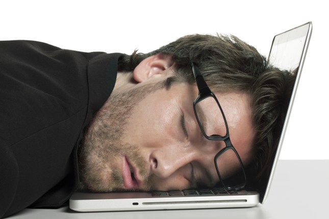 programmer asleep at laptop